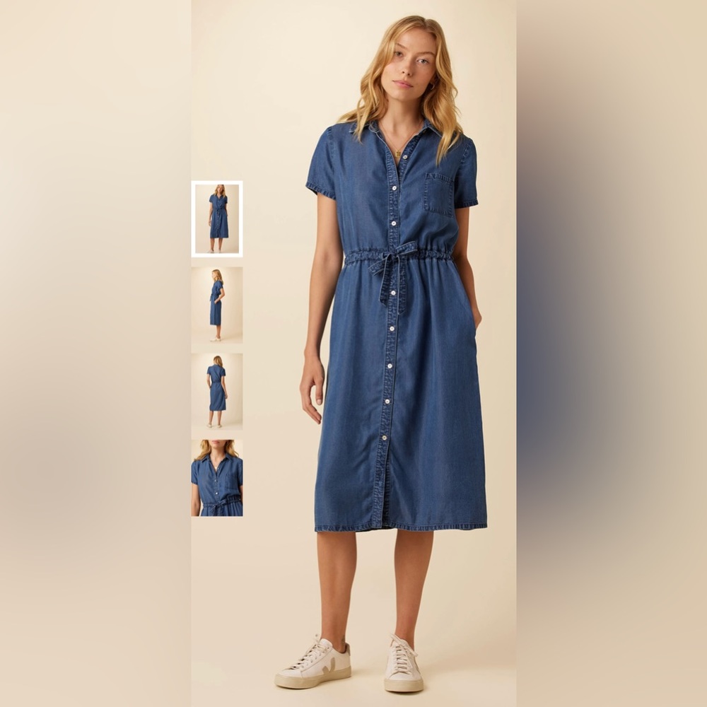 Amour Vert NWT chambray shirt dress